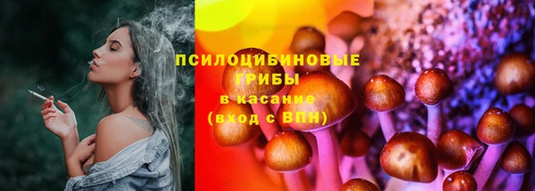 ECSTASY Лагань