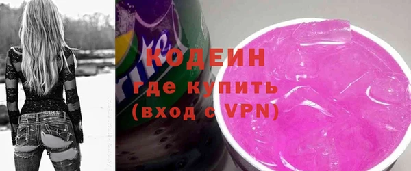 ECSTASY Лагань