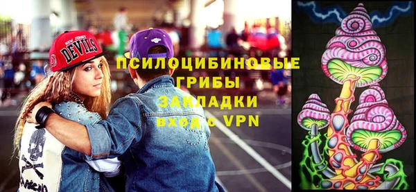 ECSTASY Лагань