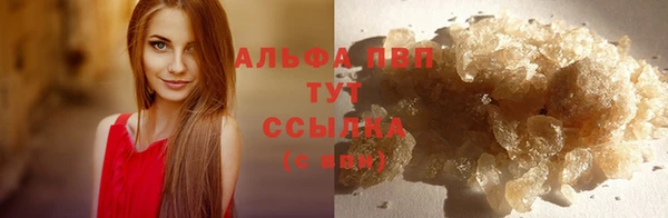 мет Ладушкин