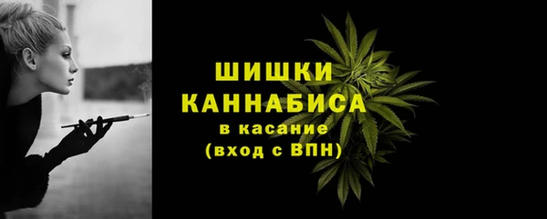 крисы Зерноград