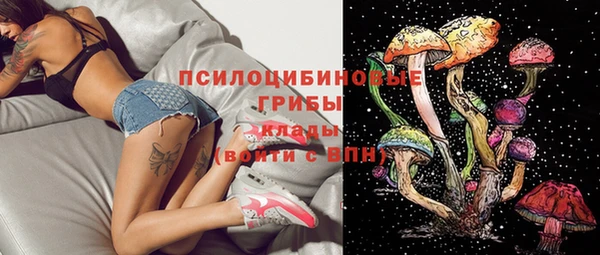 ECSTASY Лагань