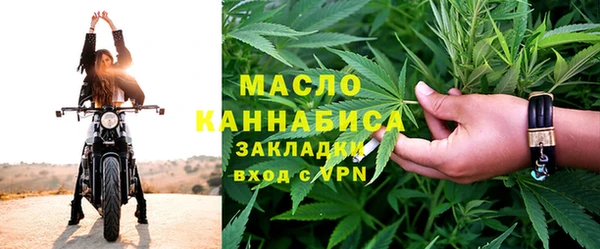 мет Ладушкин