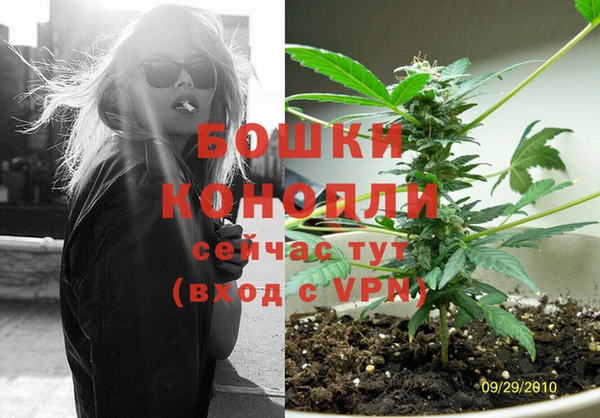 ECSTASY Лагань
