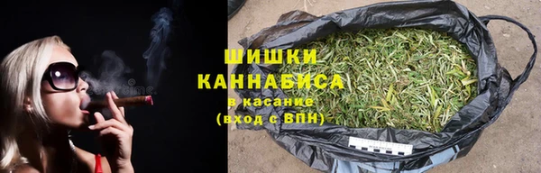 индика Белокуриха