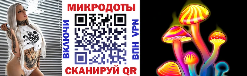 Галлюциногенные грибы MAGIC MUSHROOMS  купить закладку  Новоалтайск 